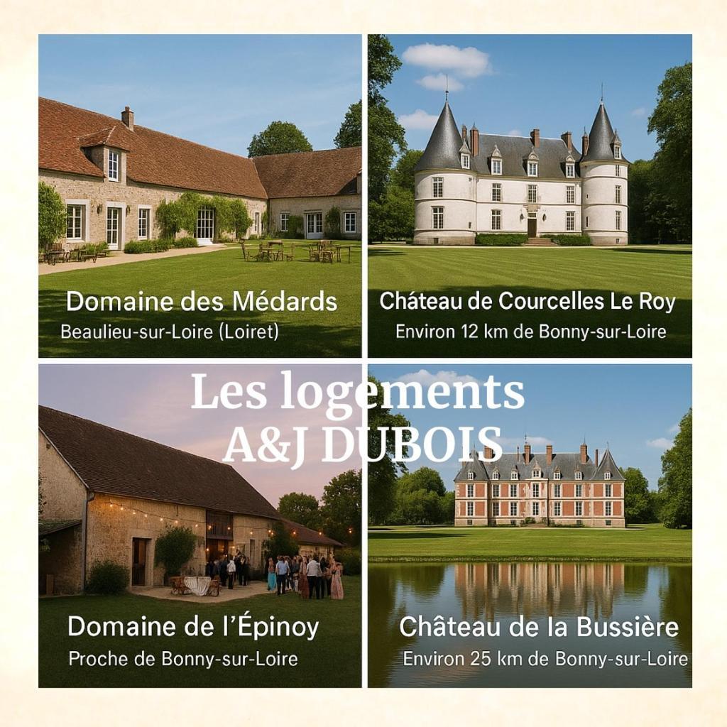 A&Jduplex - Bonny Sur Loire - Chateaux De Guedelon - Pont Canal Extérieur photo